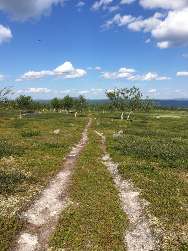 Kungsleden mellan Ammarnäs och Adolfström