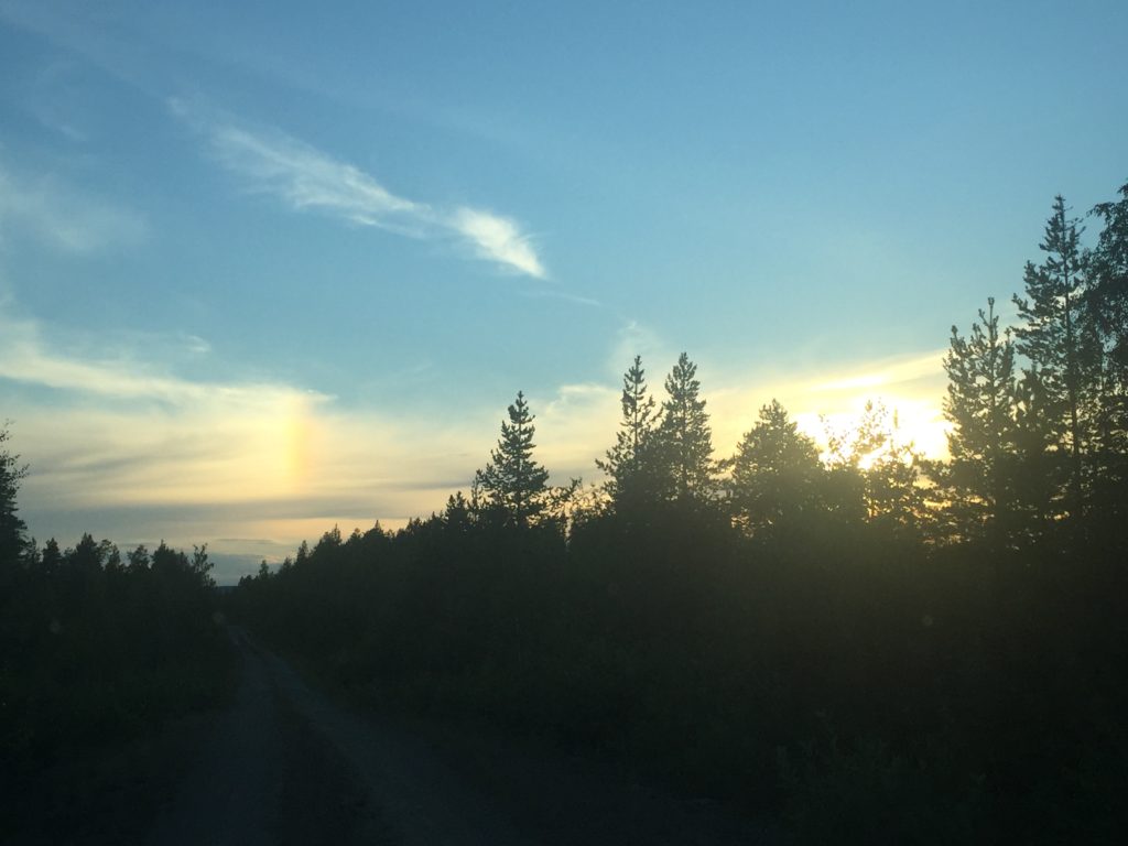 Utsikt från bilen