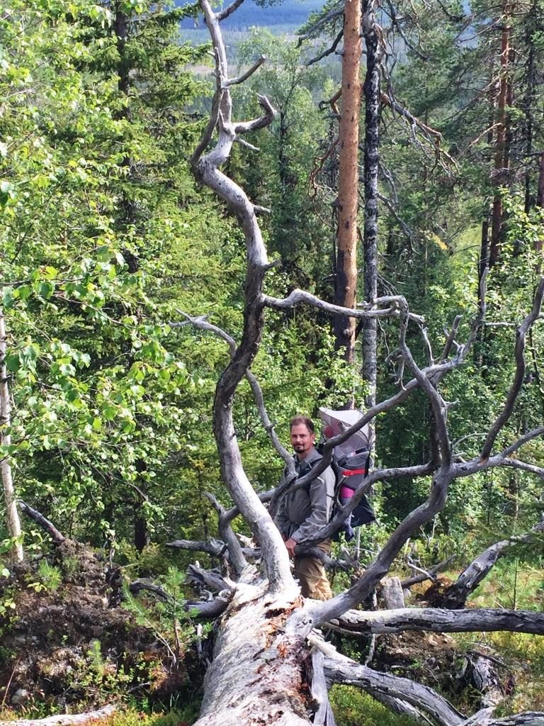 Berg i Sorsele