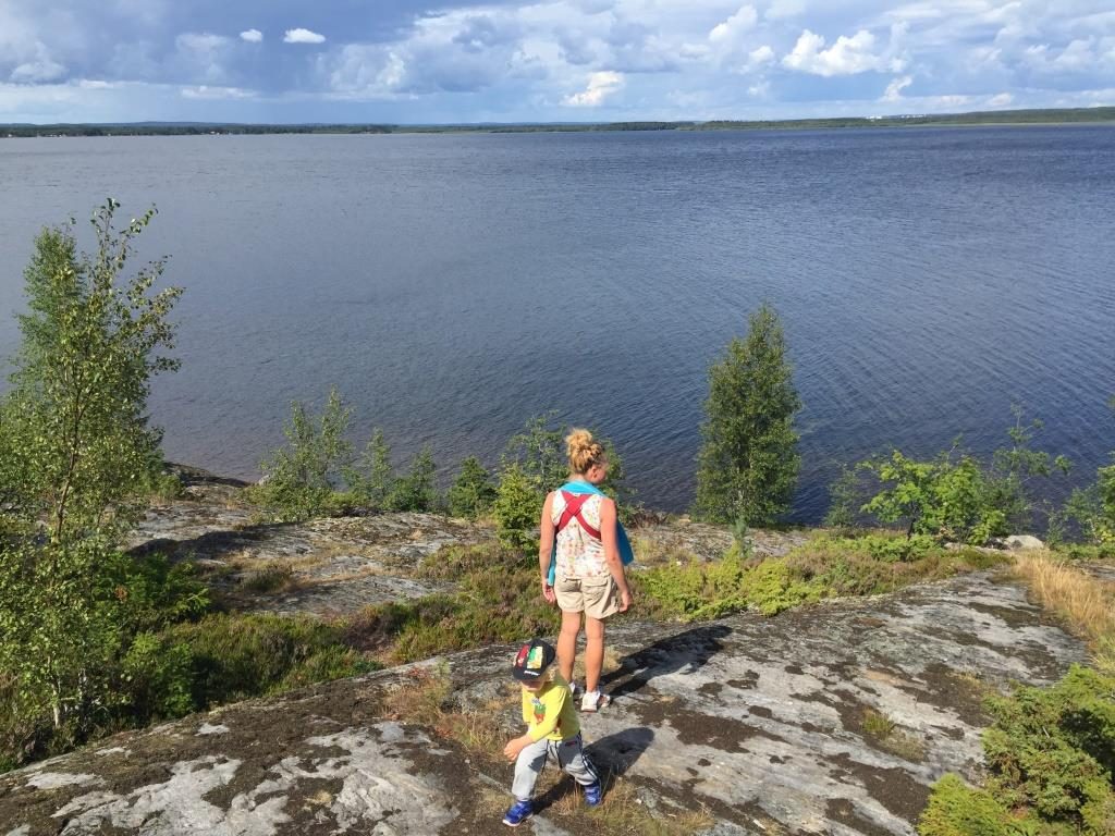 Umeälvens delta