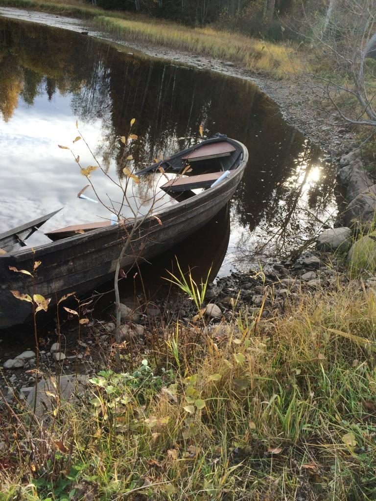utflykter med barn