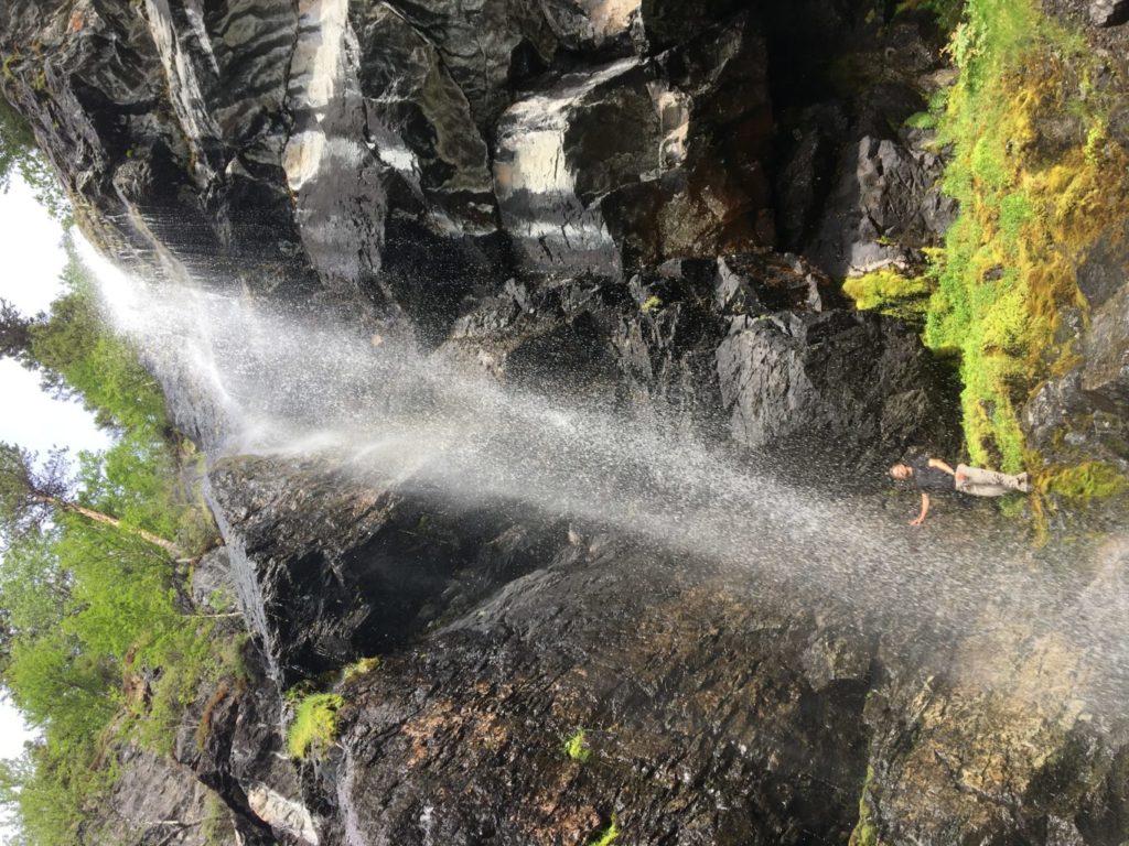 Brudslöjan