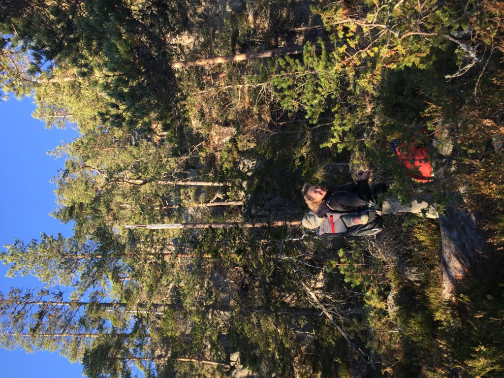 Naturliga mutor är bäst. Finns det bär, stanna ofta och ät så mycket som orkas med. Här fyller vi på med blåbärsenergi på väg upp på Storrisberget